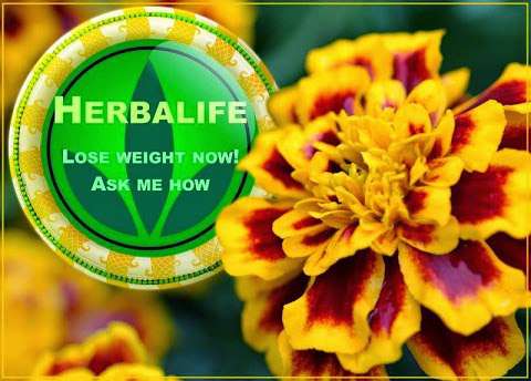 Herbalife One on One Nutrition